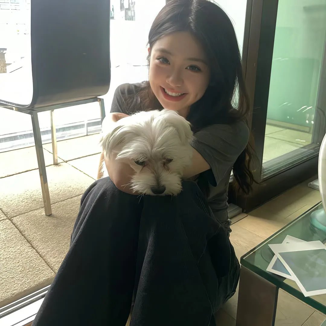 闹剧谜案